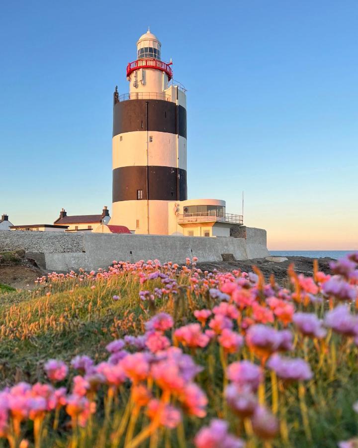 Thistledown Lodge Fethard-on-Sea Luaran gambar