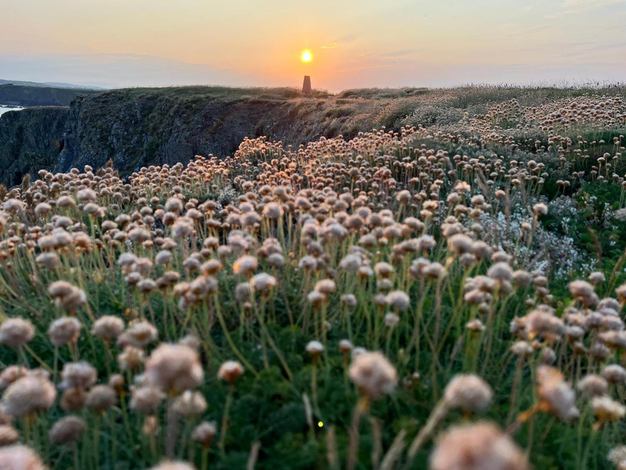 Thistledown Lodge Fethard-on-Sea Luaran gambar