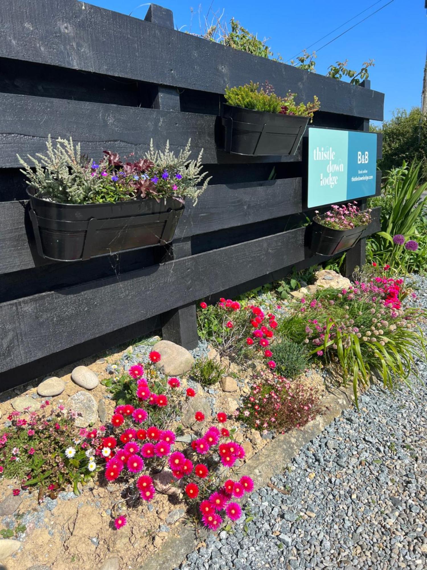 Thistledown Lodge Fethard-on-Sea Luaran gambar